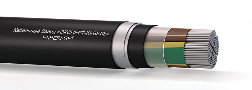 Вз-РэБПнг(А)-FRHF