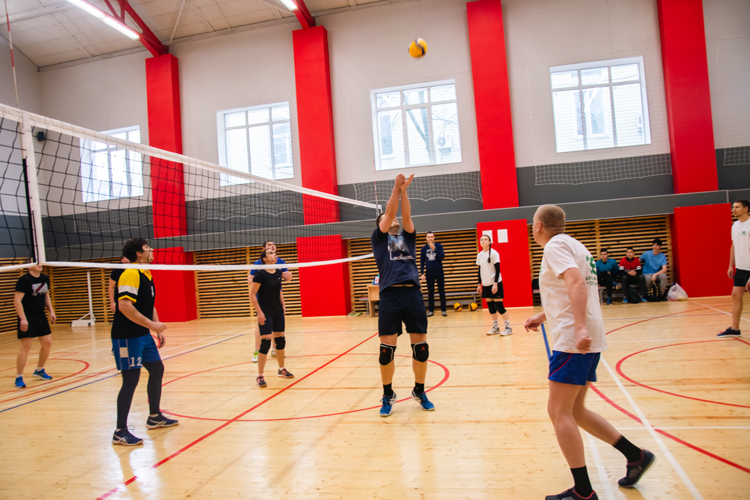 Чемпионат по волейболу