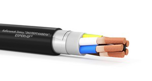 Вз-ПБПнг(А)-FRHF