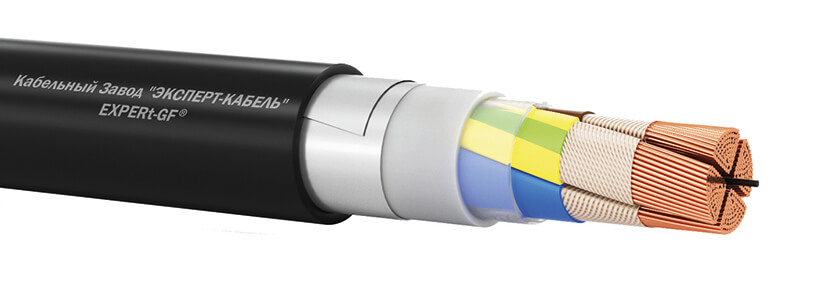 Вз-РэБШвнг(А)-FRLS-ХЛ