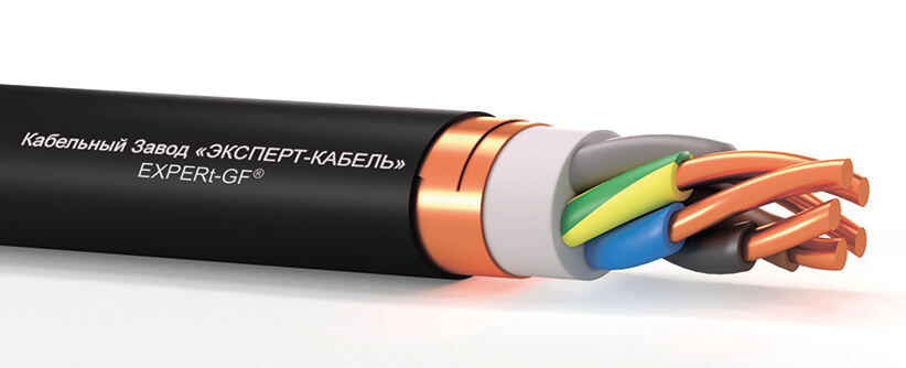 Вз-РэВГЭнг(А)-FRLS